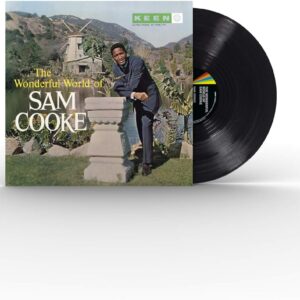 SAM COOKE-THE WONDERFUL WORLD OF SAM COOKE (VINYL)