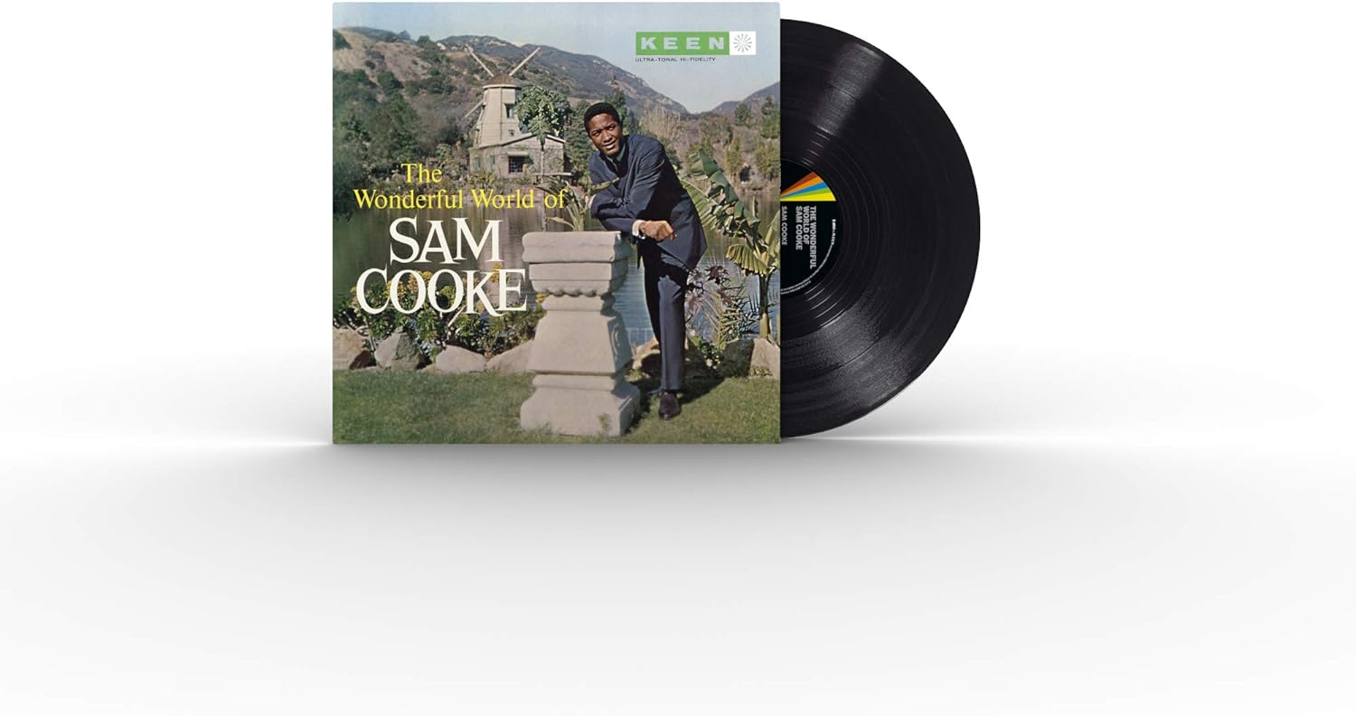 SAM COOKE-THE WONDERFUL WORLD OF SAM COOKE (VINYL)