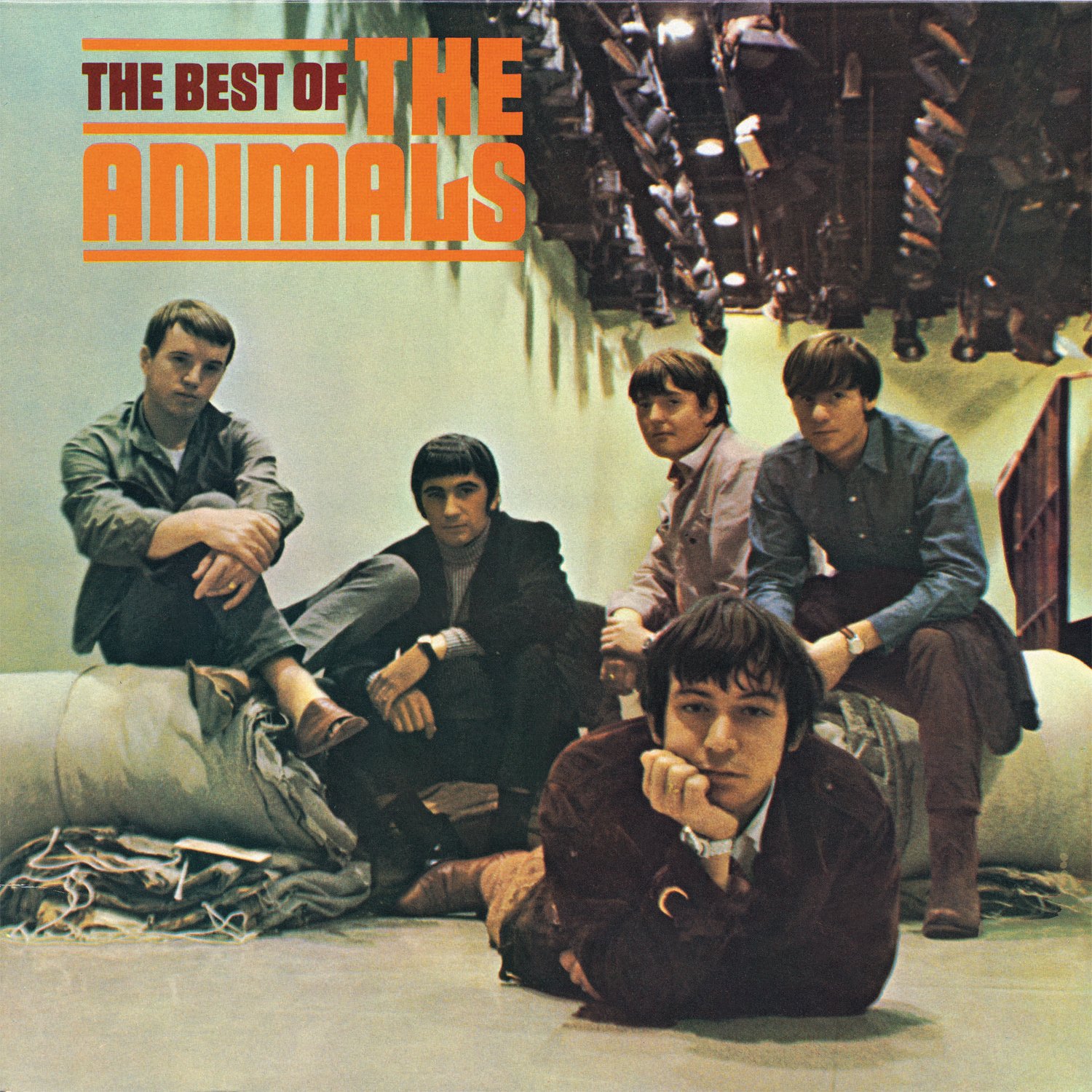 ANIMALS-BEST OF THE ANIMALS