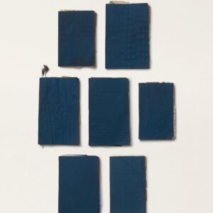 MAX RICHTER-THE BLUE NOTEBOOKS