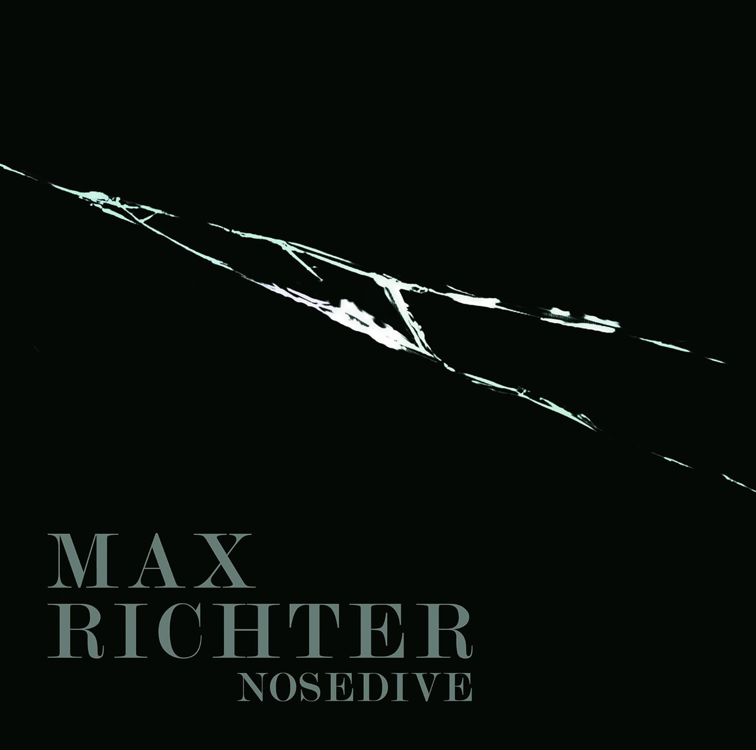MAX RICHTER-BLACK MIRROR - NOSEDIVE
