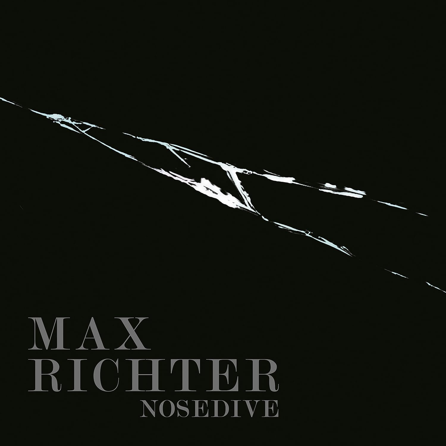 MAX RICHTER-BLACK MIRROR - NOSEDIVE